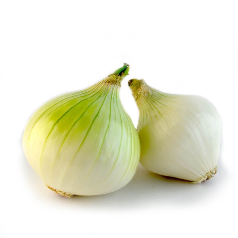 CEBOLLA BLANCA MEDIANA