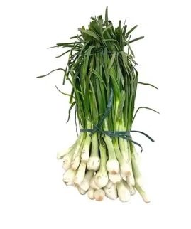 CEBOLLA CAMBRAY MANOJO