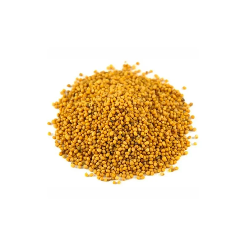 SEMILLA DE MOSTAZA