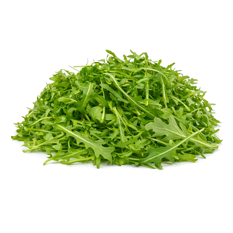ARUGULA