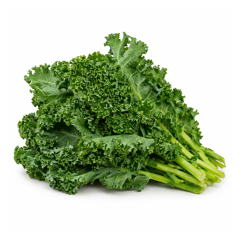LECHUGA KALE