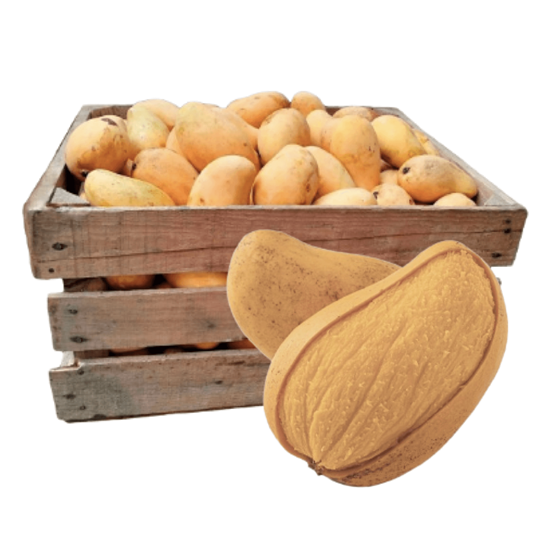 Mango Ataúlfo premium extra grande por caja (25kg aprox.)