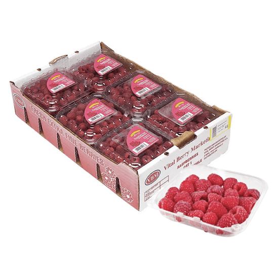 FRAMBUESA CAJA CON 12 DOMOS DE 170g c/u