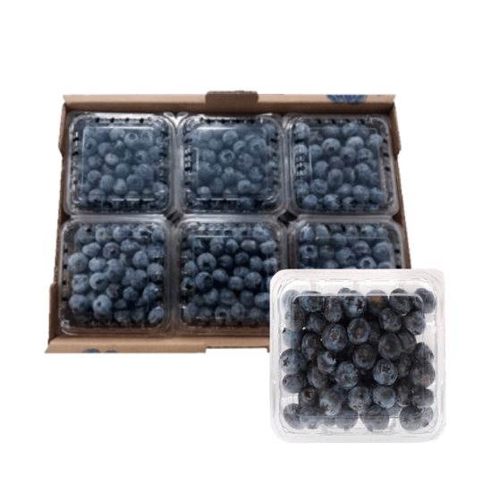 MORA AZUL (BLUEBERRIES) CAJA CON 12 DOMOS DE 170g c/u