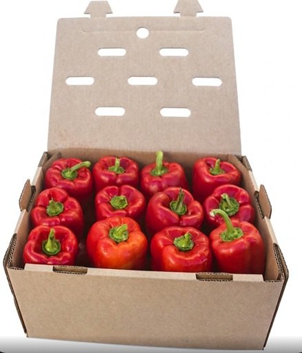 PIMIENTO MORRON ROJO CALIDAD (10kg aprox.)