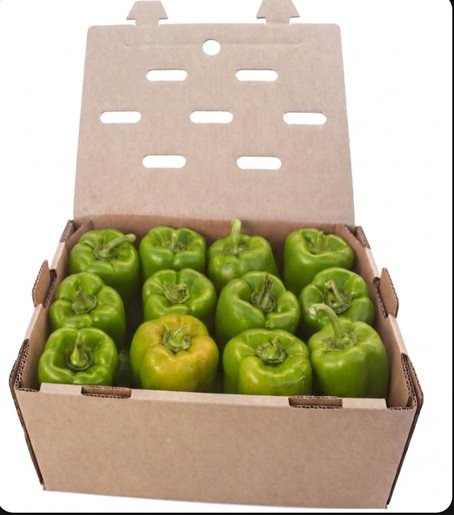 PIMIENTO MORRON VERDE CALIDAD (10kg aprox.)