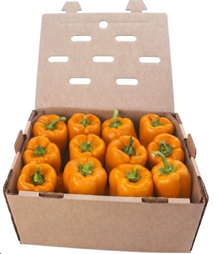 PIMIENTO MORRON NARANJA CALIDAD (10kg aprox.)