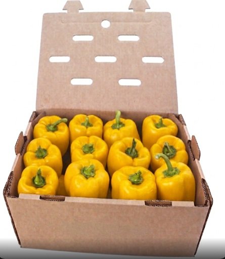 PIMIENTO MORRON AMARILLO CALIDAD (10kg aprox.)