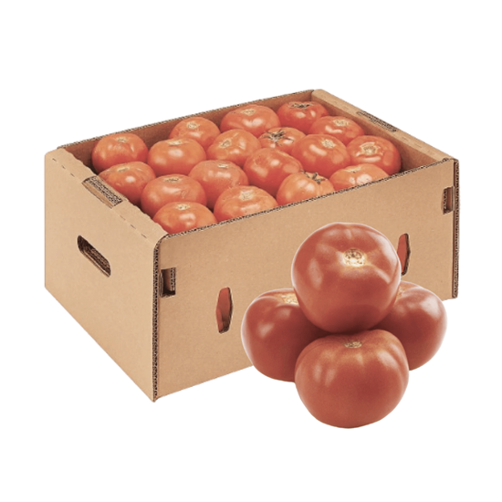 JITOMATE BOLA PREMIUM POR CAJA (10kg aprox.)