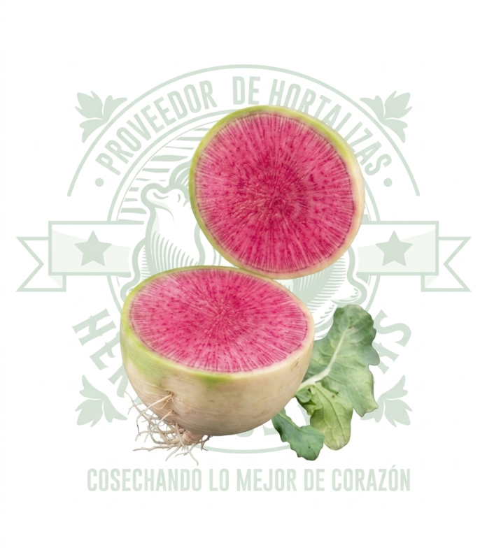 RABANO SANDIA
