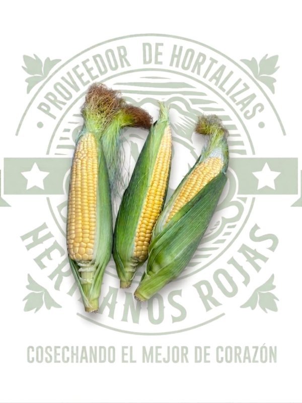 ELOTE AMARILLO