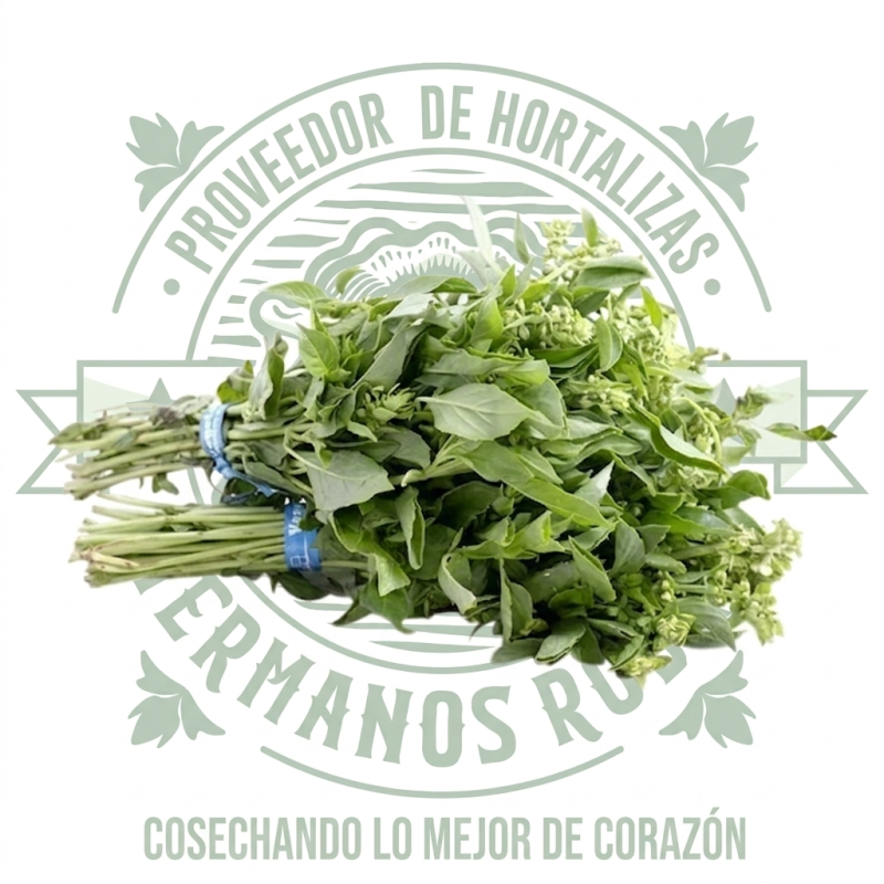 ALBAHACA