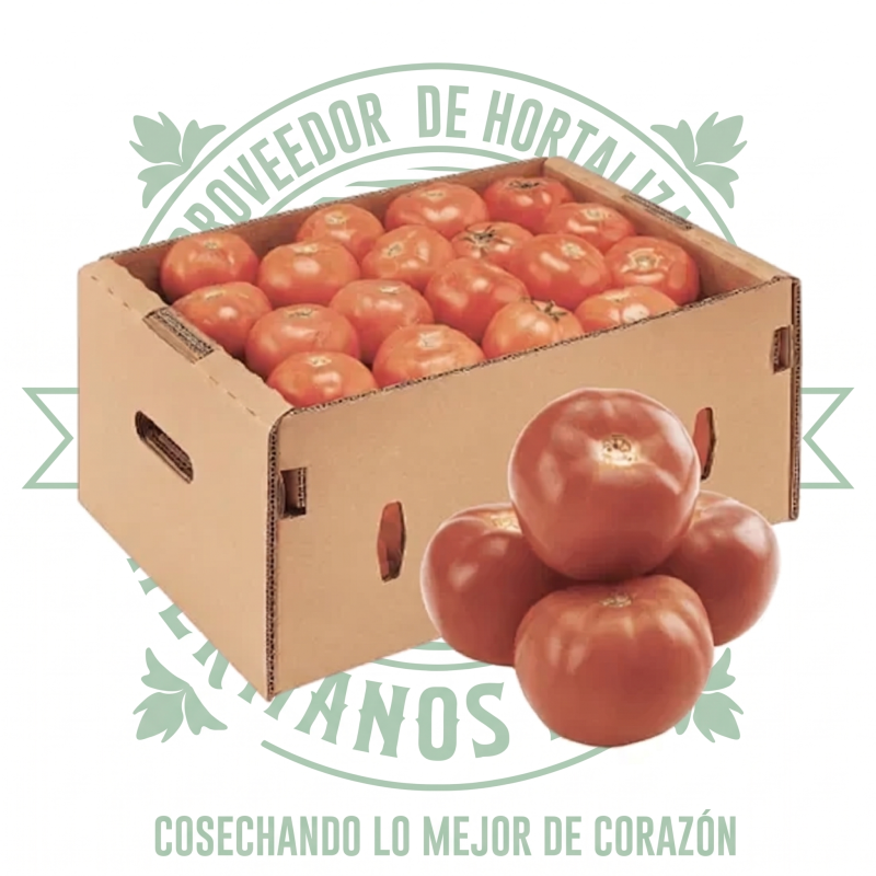 JITOMATE BOLA PREMIUM POR CAJA
