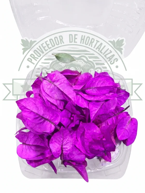 FLOR COMESTIBLE (BUGAMBILIA)