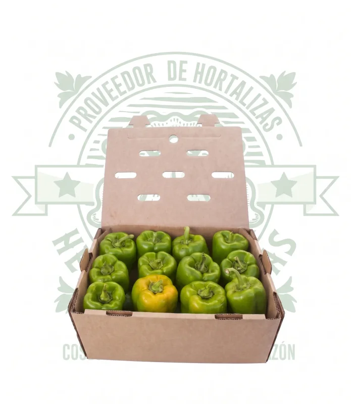 PIMIENTO MORRON VERDE CALIDAD (10kg aprox.)