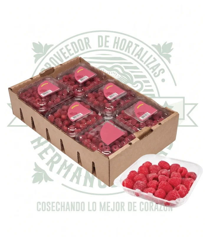 FRAMBUESA CAJA CON 12 DOMOS DE 170g c/u