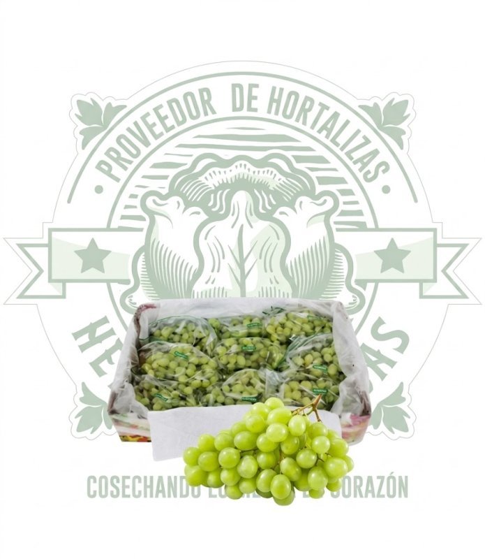 UVA VERDE SIN SEMILLA IMPORTAD CAJA (7kg aprox.)