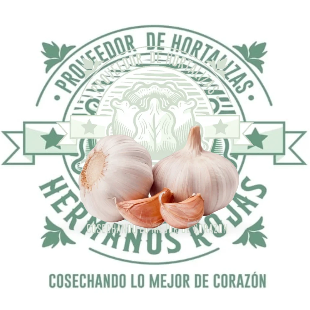 AJO MACHO