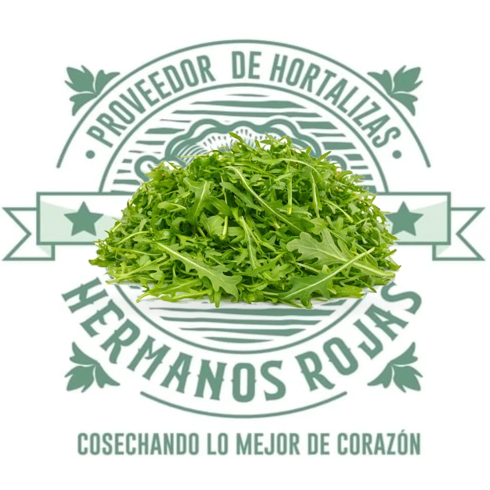 ARUGULA