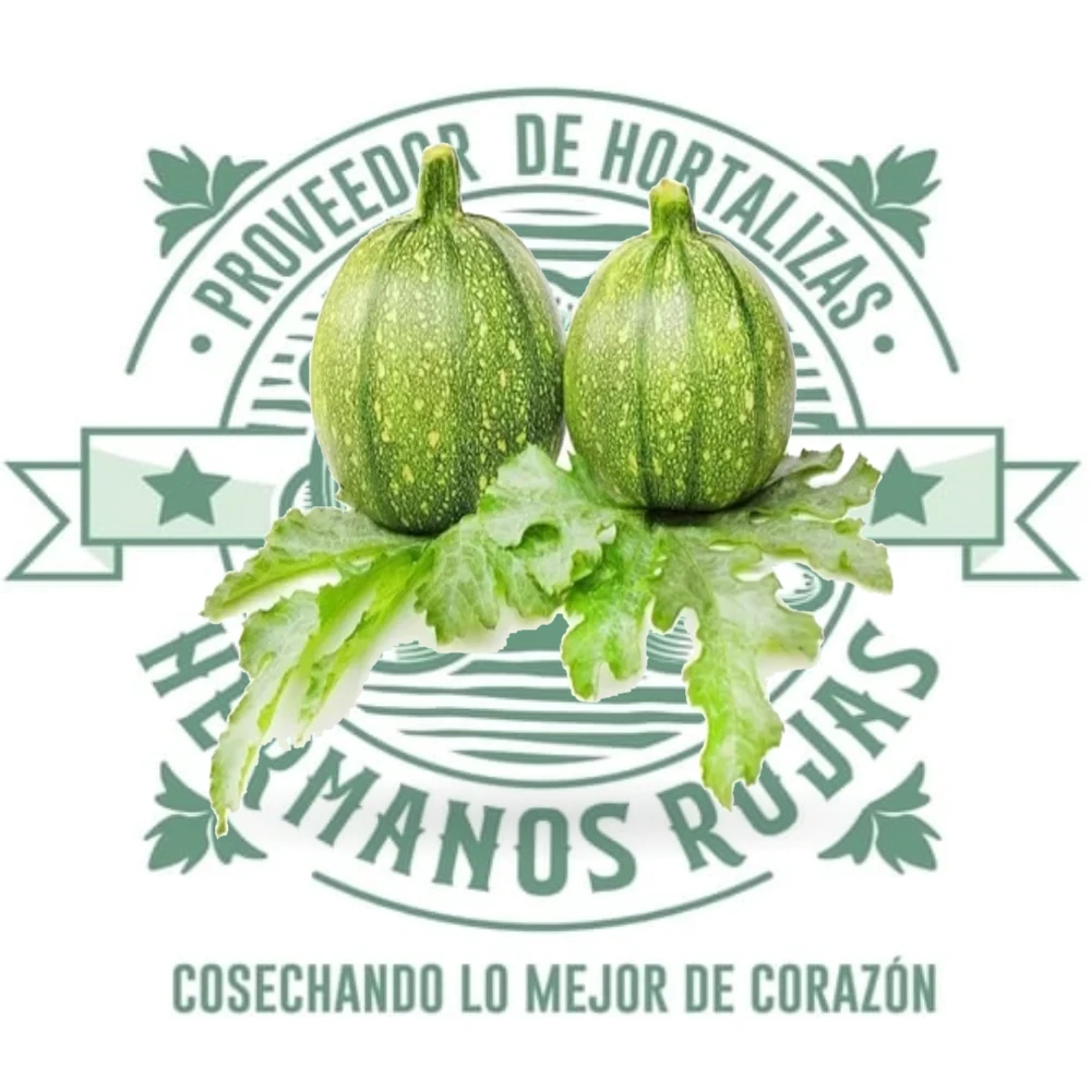 CALABAZA BOLA
