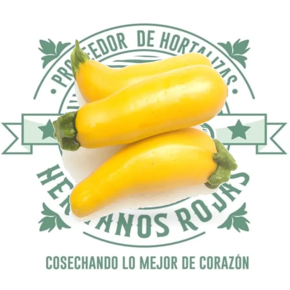 CALABAZA ZUCCHINI AMARILLA