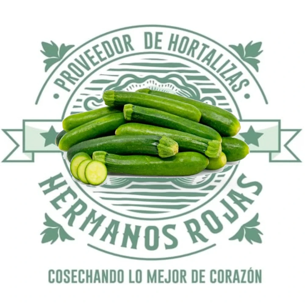 CALABAZA ZUCCHINI VERDE