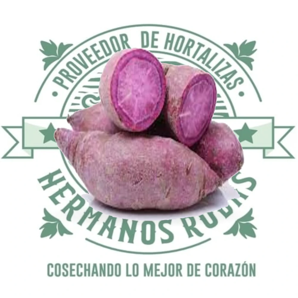 CAMOTE MORADO