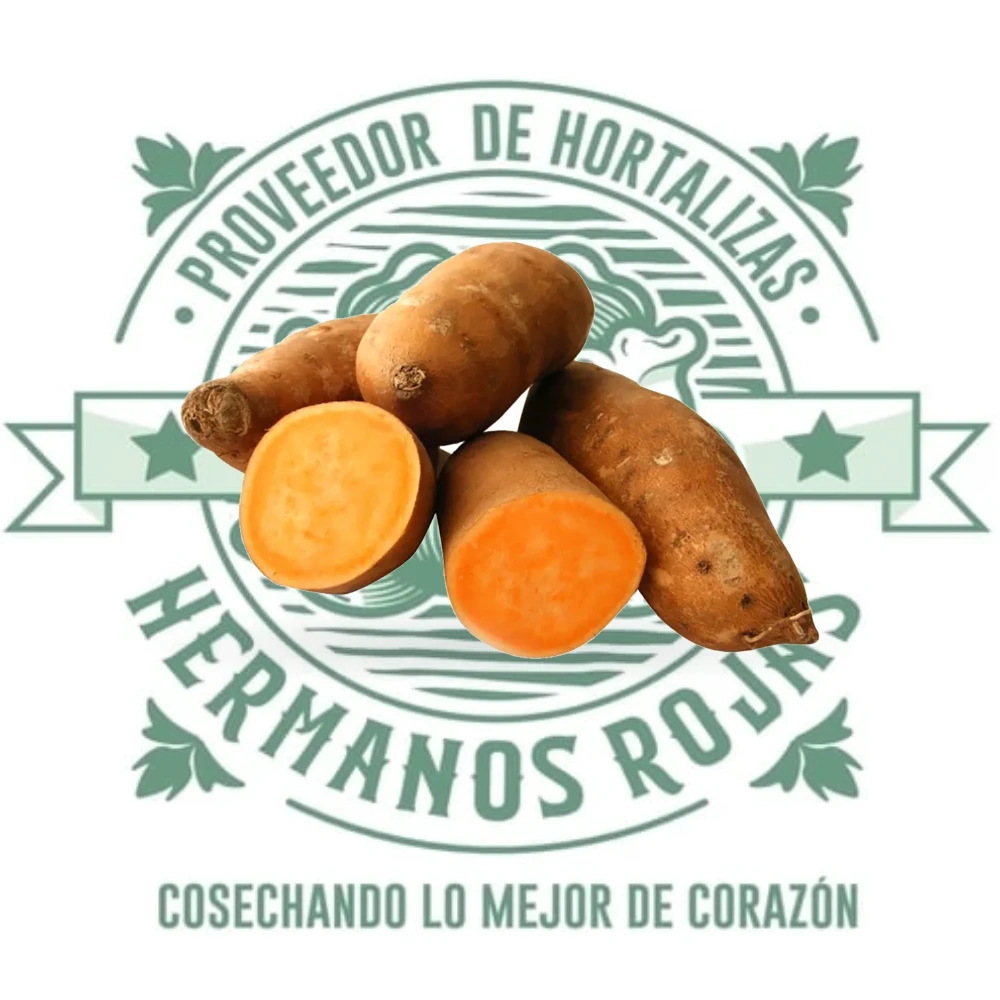 CAMOTE NARANJA