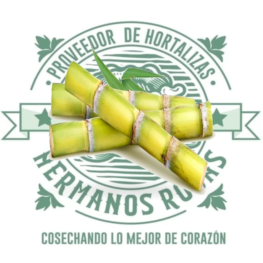 CAÑA