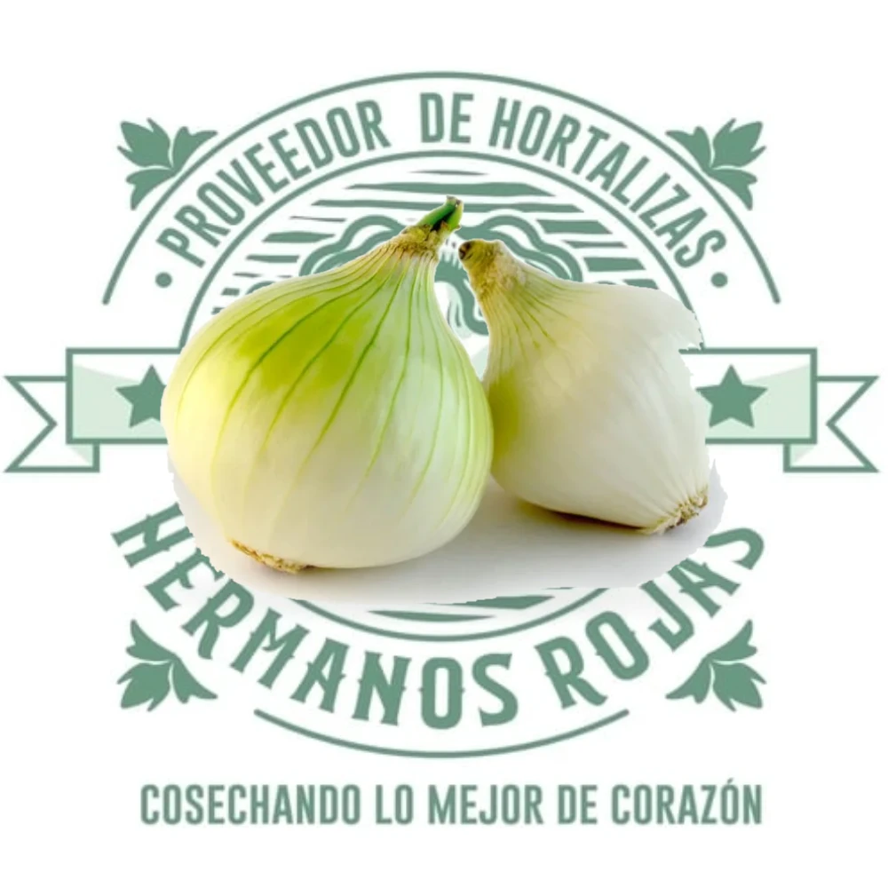 CEBOLLA BLANCA MEDIANA