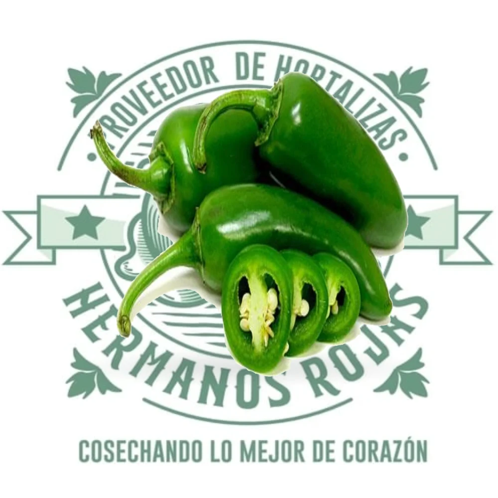 CHILE JALAPEÑO