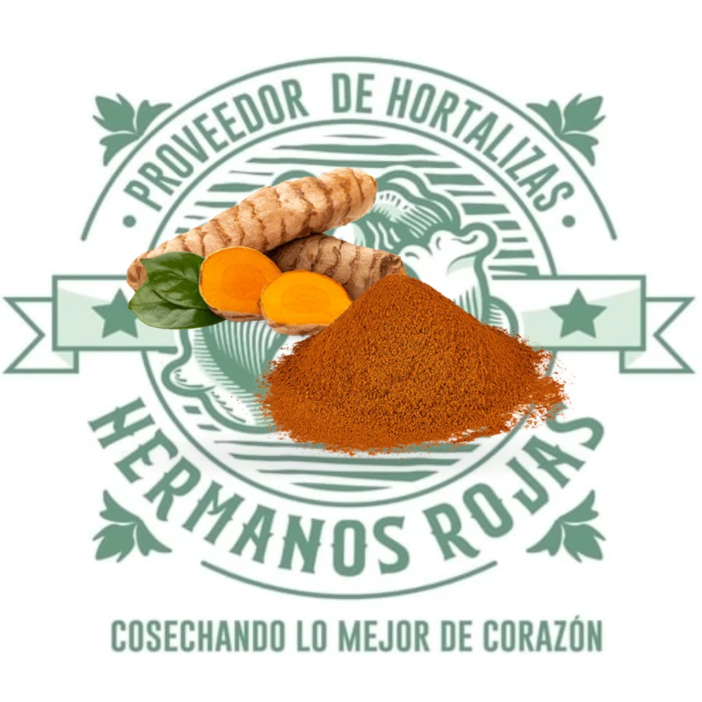 CURCUMA EN POLVO