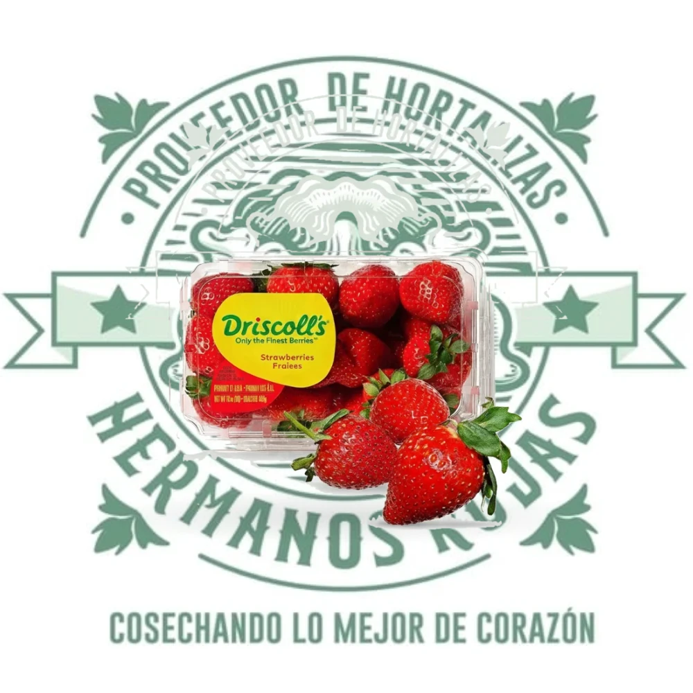 DOMO FRESAS .480g