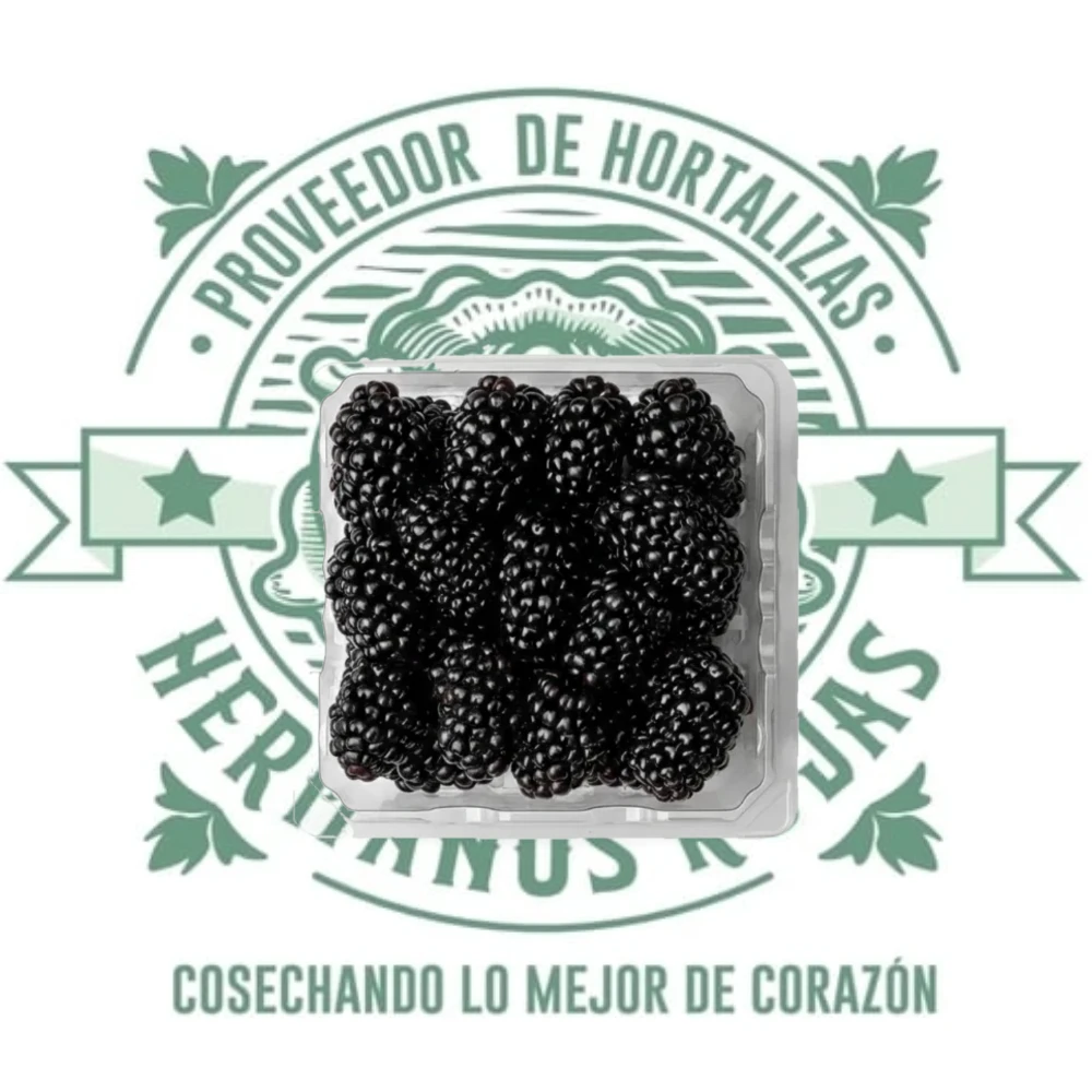 DOMO ZARZAMORAS .170g
