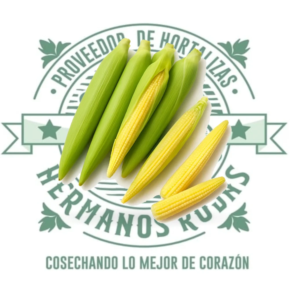 ELOTE BABY KG