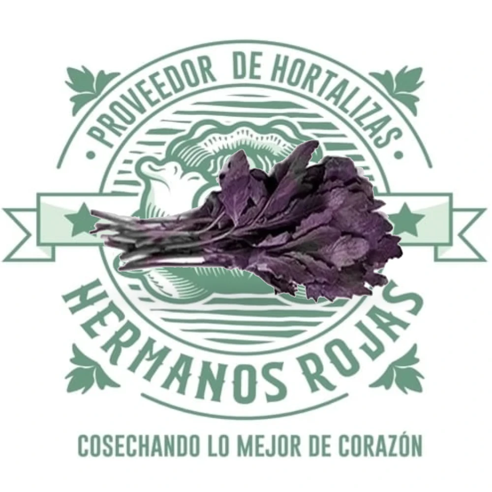 EPAZOTE MORADO