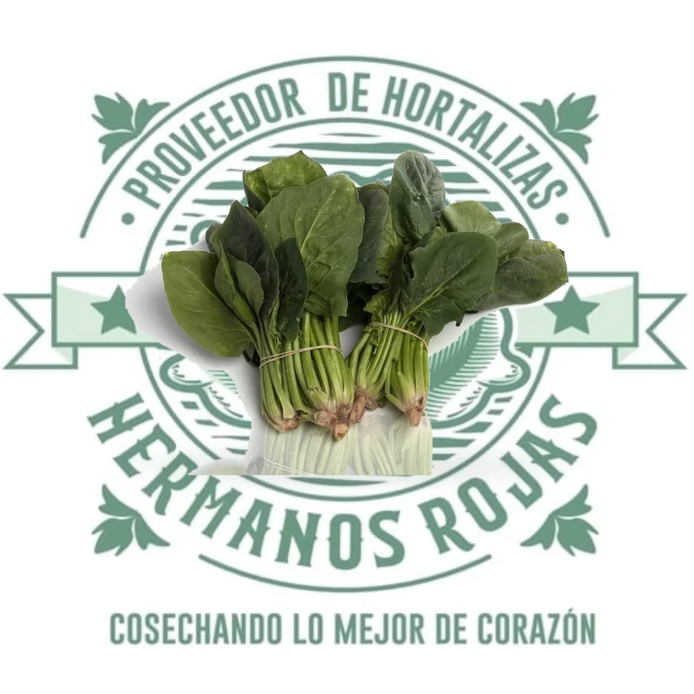 ESPINACAS KG