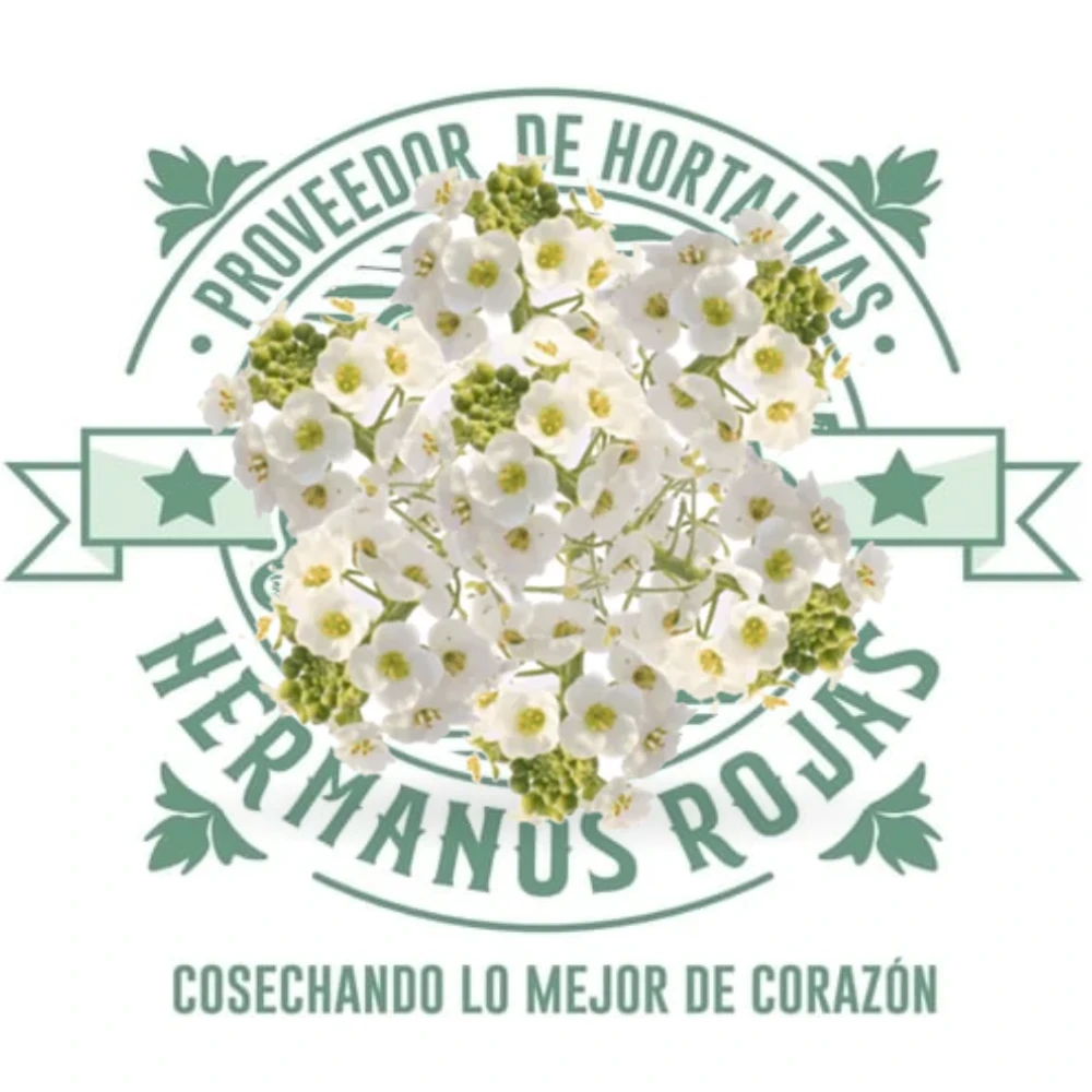 FLOR COMESTIBLE (FLOR DE MANZANILLA)