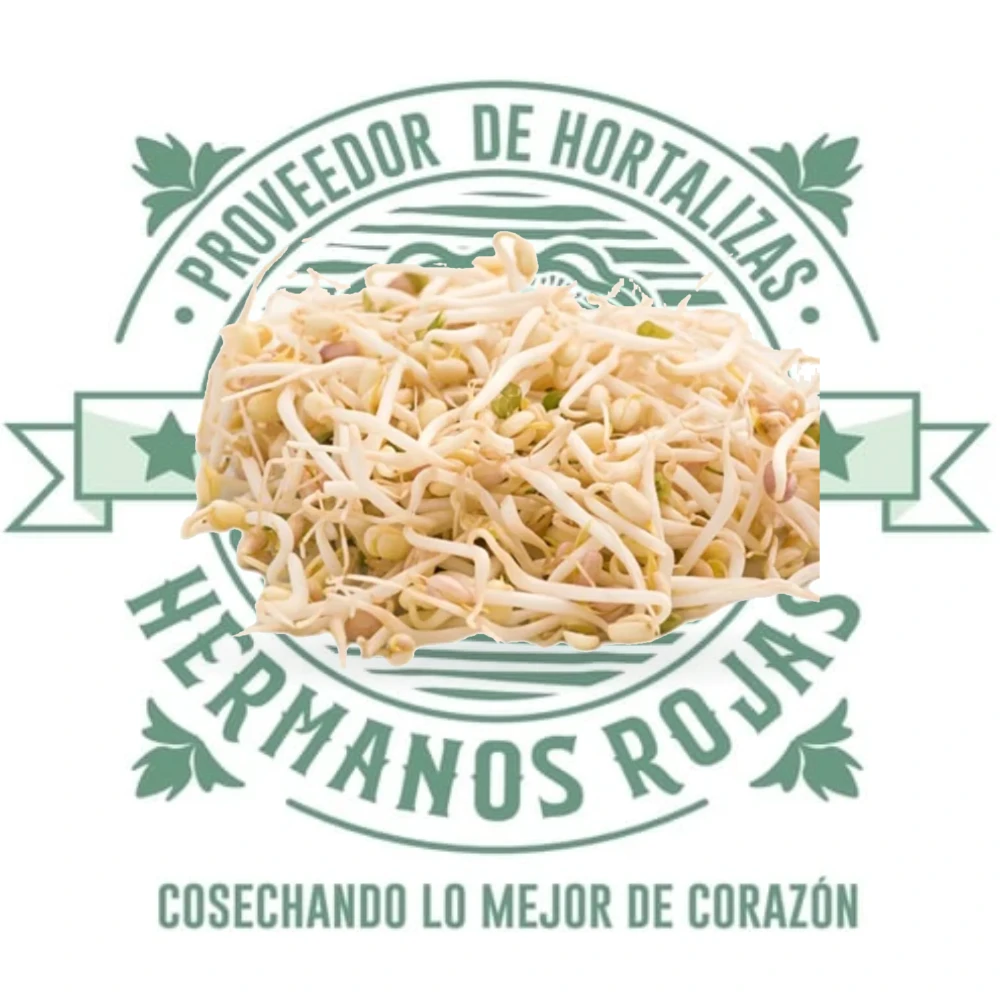 GERMEN DE SOYA