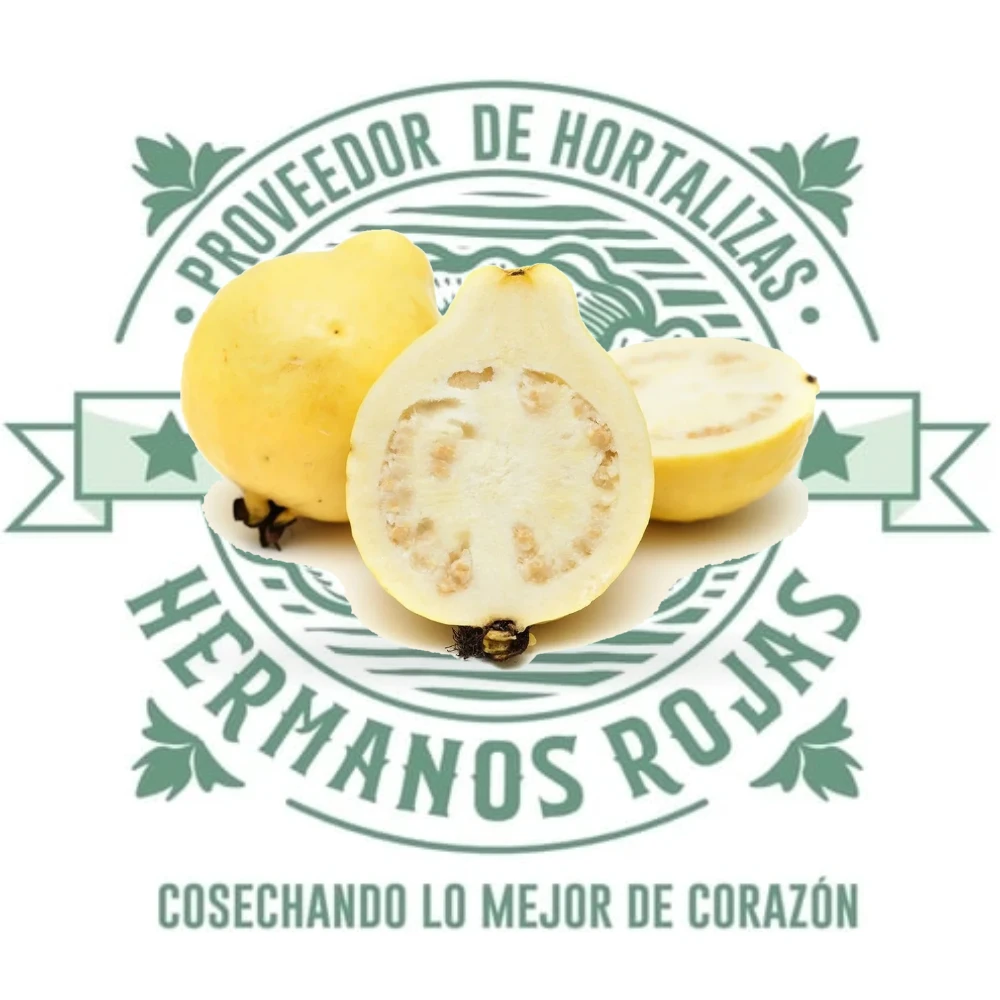 GUAYABA