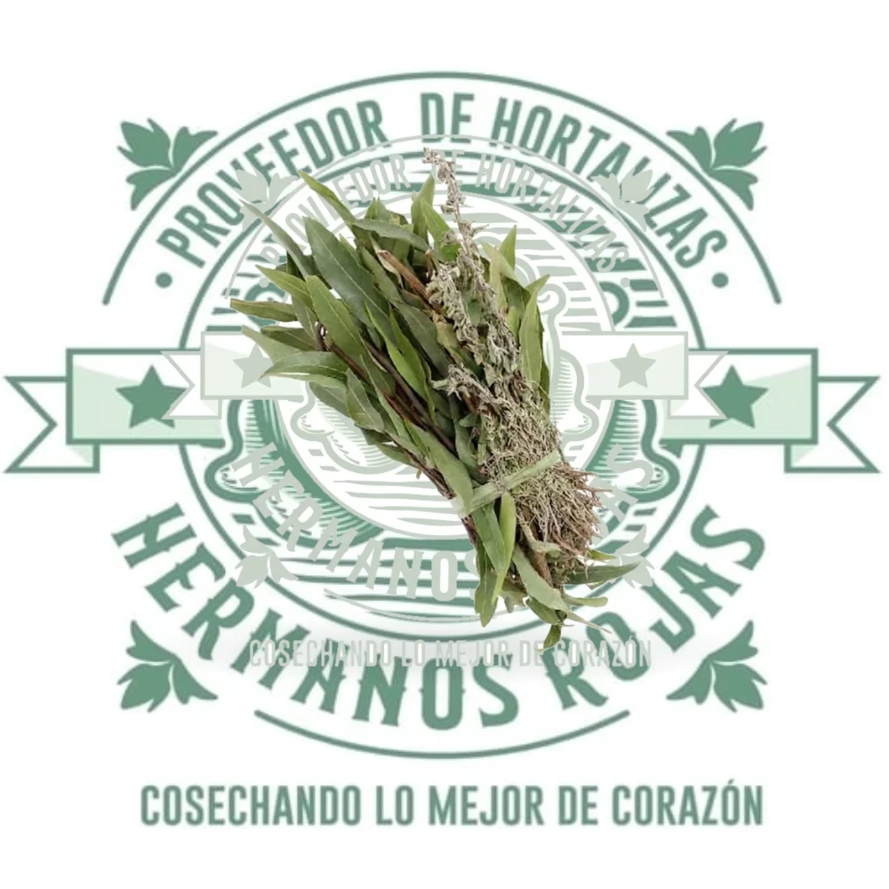 HIERBAS DE OLOR