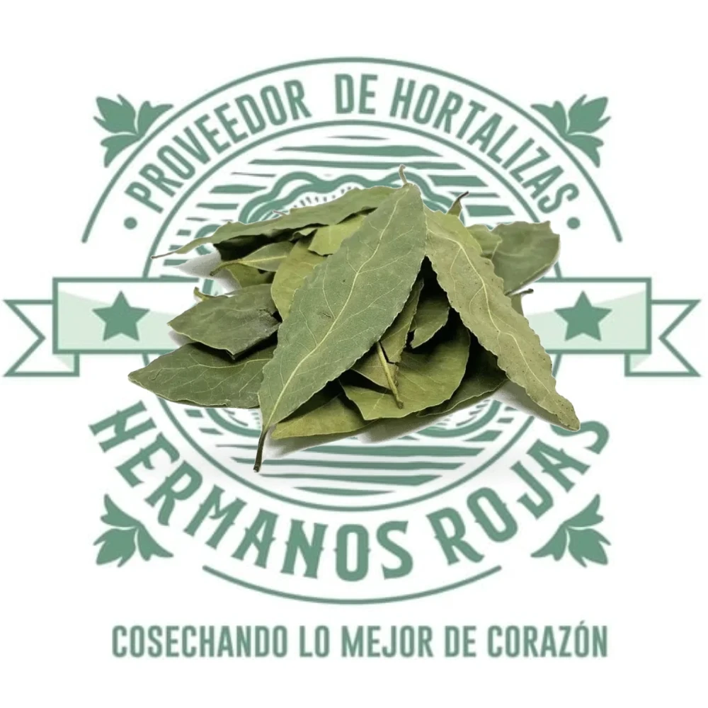 HOJA DE LAUREL SECO