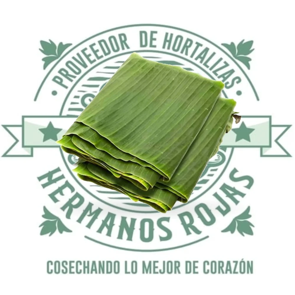 HOJA DE PLATANO