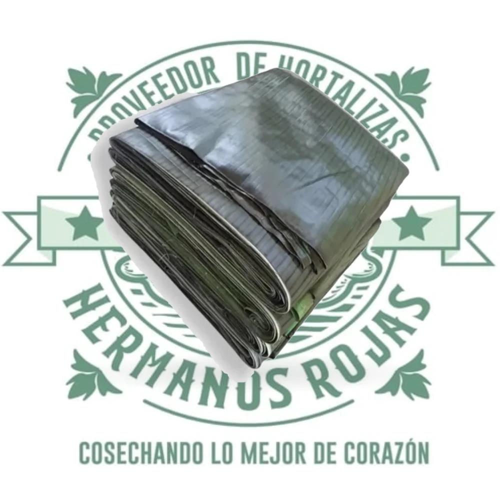 HOJA DE PLATANO ASADA