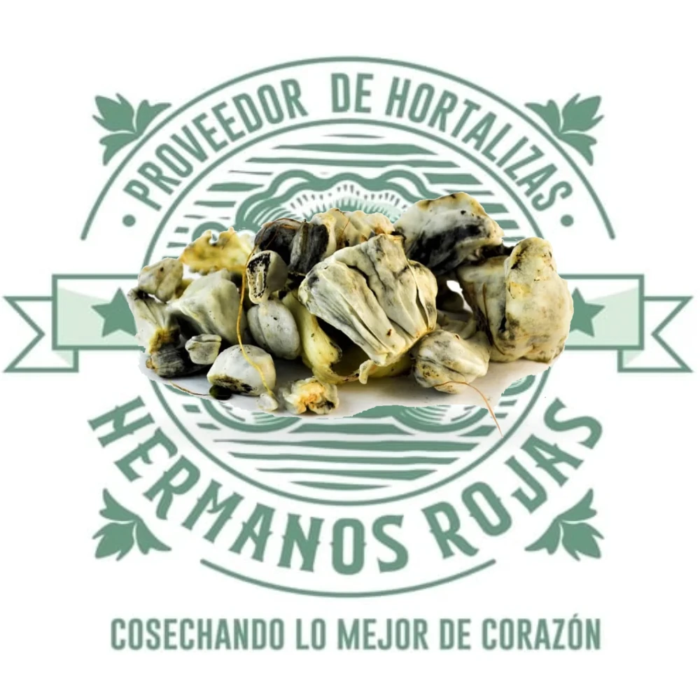 HUITLACOCHE