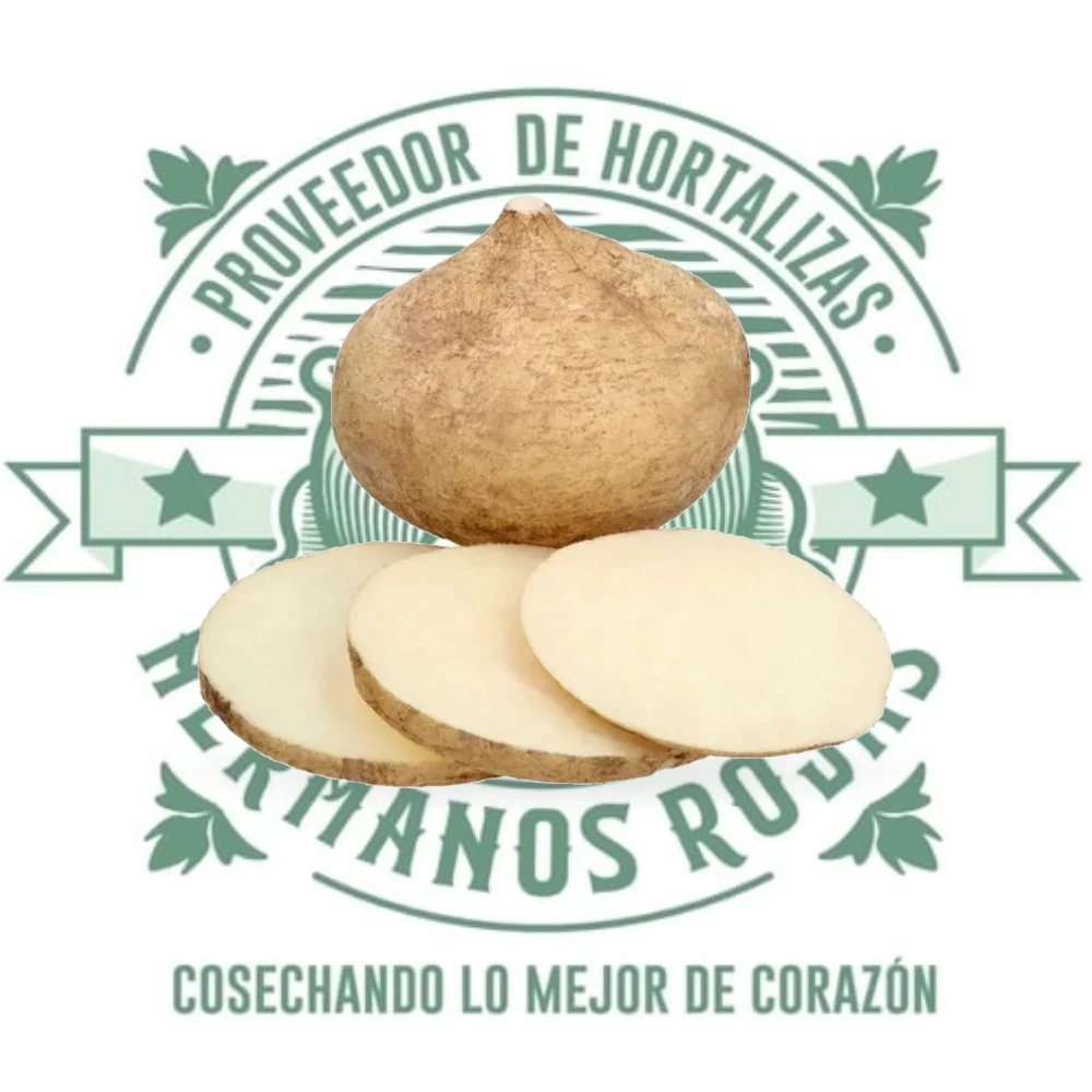 JICAMA