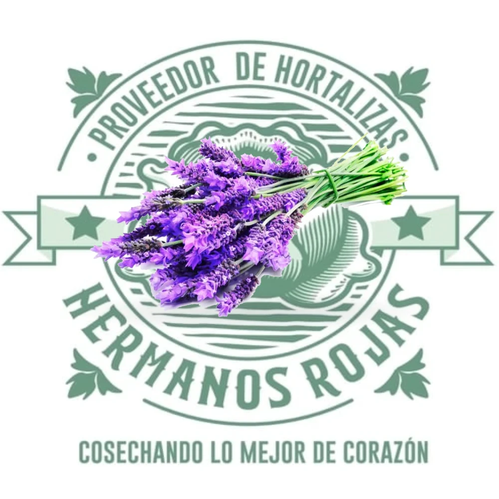 LAVANDA