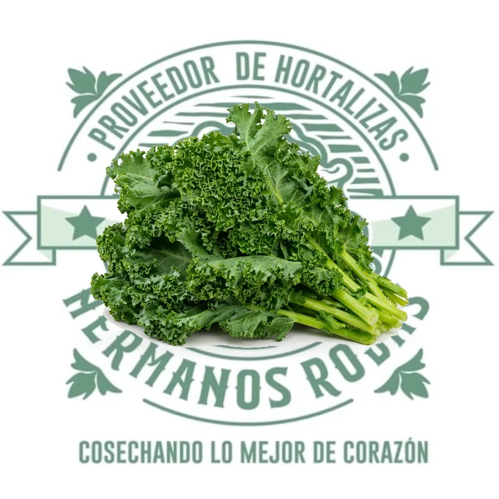 LECHUGA KALE