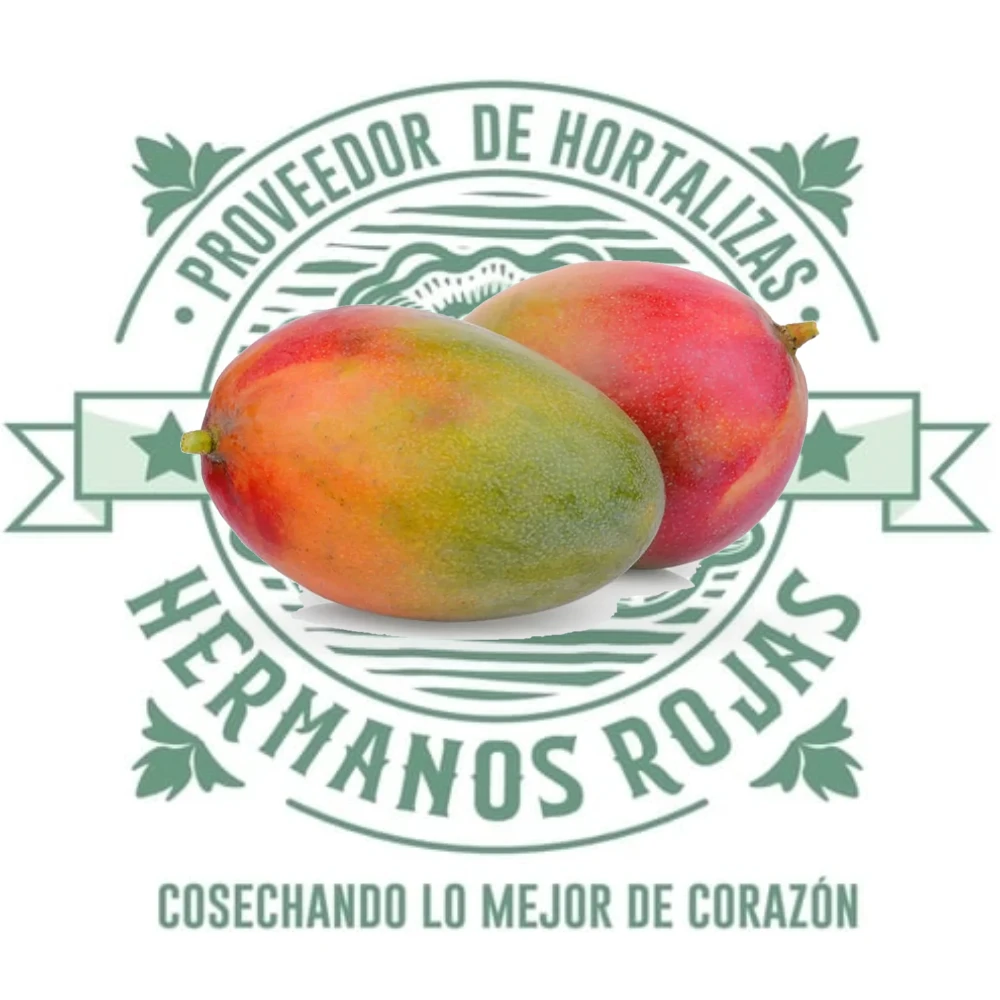 MANGO HEIDI