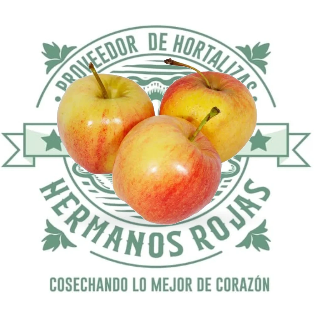 MANZANA GALA